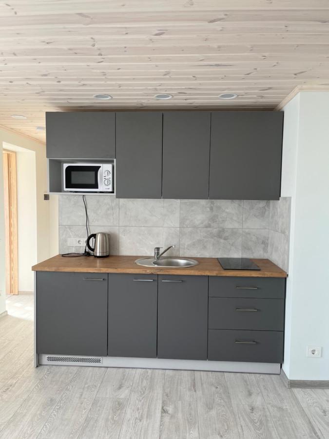 Appartement Ska Anykščiai Extérieur photo
